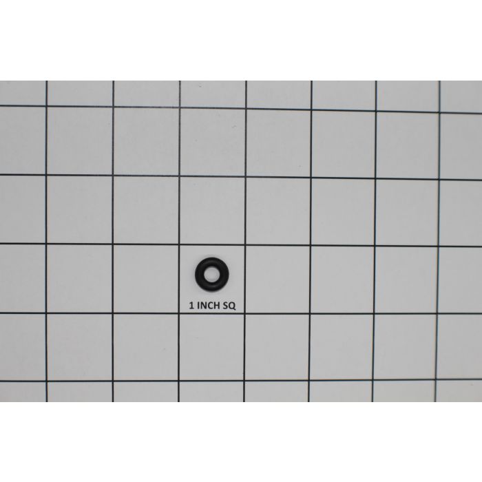 STRAINER FLUSH PLUG ORING