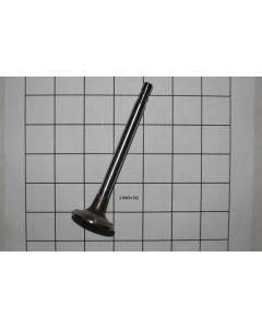 VALVE EXHAUST ASM 305/350