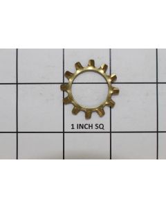 WASHER 3/4" EXTERNAL TOOTH