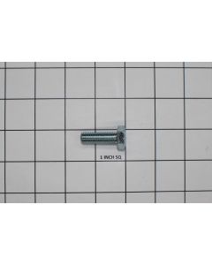 SCREW HCS 10 MM X 30 MM
