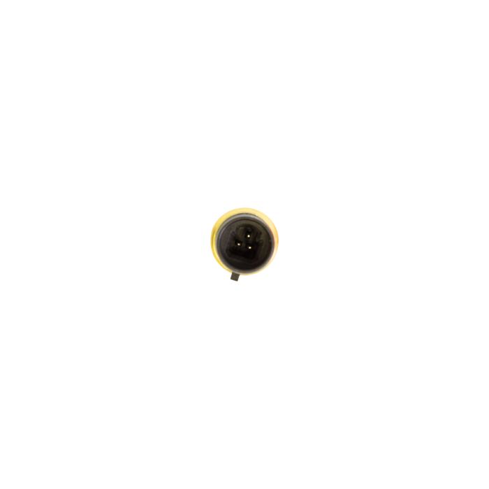 597013.jpg