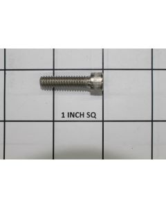 SCREW FUEL RAIL 1/4-20X1 SS
