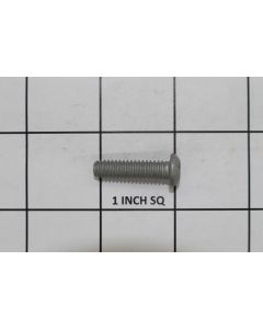 565021Q SCREW SHCS 1/4-20-1 BUTTON SP